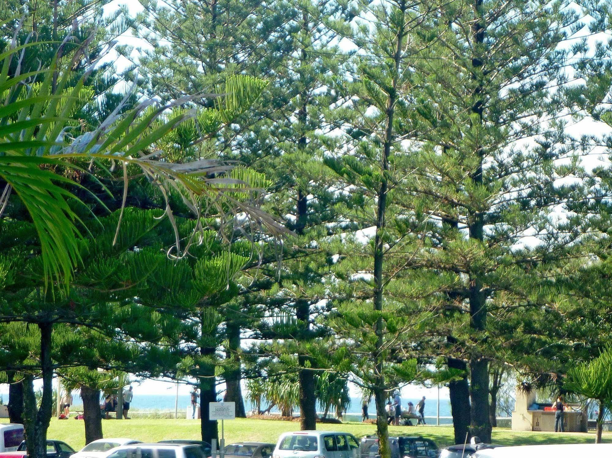 Main Beach Tourist Park 외부 사진